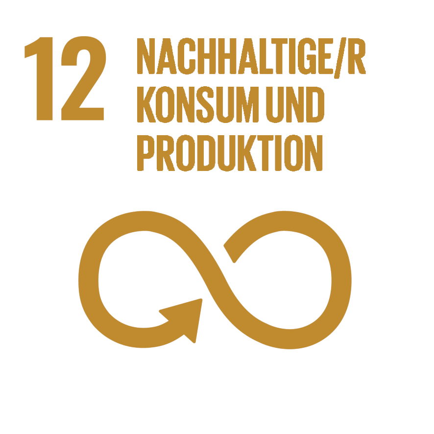 Nachhaltige/r Konsum und Produktion - Ziel 12