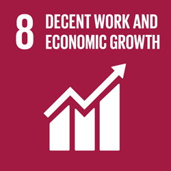 Goal 8 - Decent jobs and economic growth